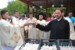 Sf. Ap. Petru și Pavel cinstiți în Episcopia Caransebeșului