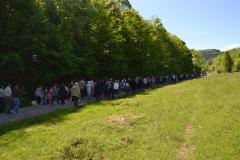 Procesiune în vinerea Floriilor la Ciudanovița