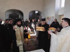 Vizite pastorale în Episcopia Caransebeșului