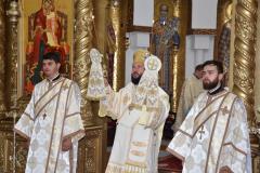 Slujire și misiune în Episcopia Caransebeșului