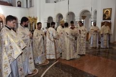 Slujire și misiune în Episcopia Caransebeșului