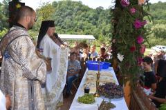 Folos duhovnicesc la Mănăstirea Almăj-Putna