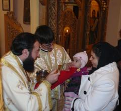 Începutul anului 2010 în Episcopia Caransebeşului