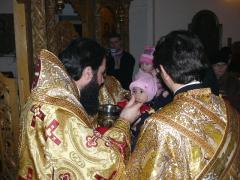 Sărbătorirea Sf. Trei Ierarhi în Episcopia Caransebeşului