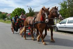 Bicentenarul bisericii parohiale din Berzovia