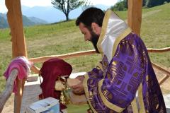 Slujire misionară în Filia Dobraia