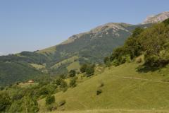 Slujire misionară în Filia Dobraia