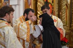 Sinaxa monahală în Episcopia Caransebeșului