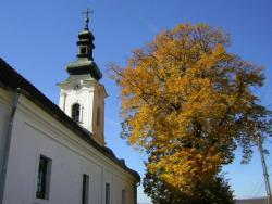 Biserica din parohia Domaşnea va fi târnosită 