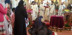 Tundere în monahism la Mănăstirea Poiana Mărului 