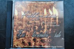 Apariţia compact discului „Paşii pelerinului” a grupului vocal Katharsis, al Episcopiei Caransebeşului