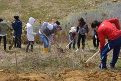 Acțiuni de caritate și ecologizare în Săptămâna Mare