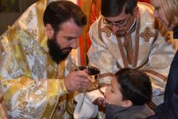 Sfântul Cuvios Stelian Paflagonul sărbătorit la Moldova Nouă