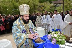 Sărbătoarea Izvorului Tămăduirii în Episcopia Caransebeșului