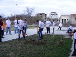 Voluntariat la Căminul de bătrâni din Caransebeş